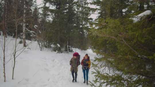 徒步旅行者，步行，雪，森林