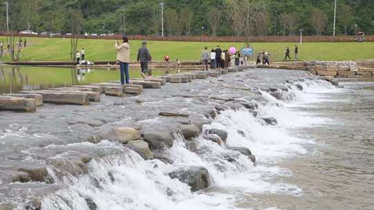 相机高清摄柏临河湿地公园南岸10