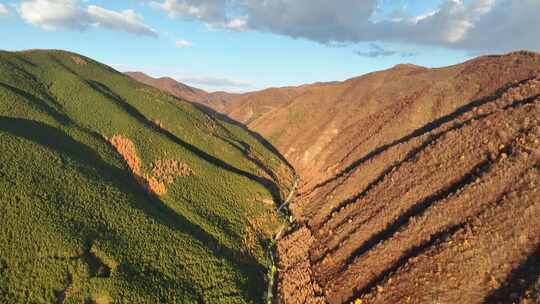 高山秋景航拍