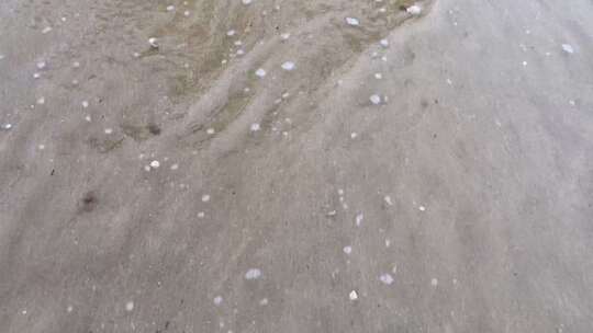 海滩 看海 沙滩 海浪 浪花 贝壳