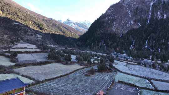 航拍四川阿坝岷山脚下上纳咪村田园风光