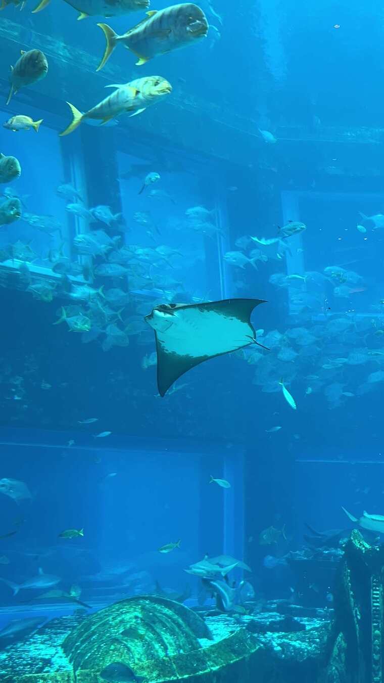 三亚失落的空间水族馆