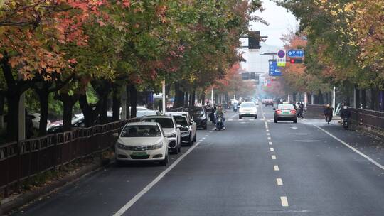 杭州钱塘区学林街秋景航拍