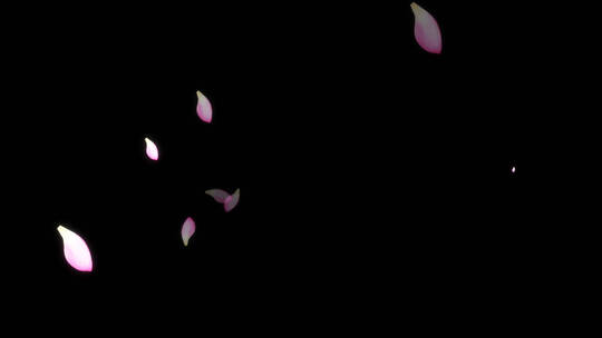 荷叶花瓣动态装饰元素视频