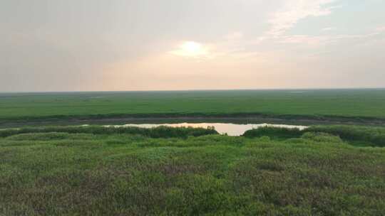 鄱阳湖风景航拍湖泊湿地公园草地河流风光