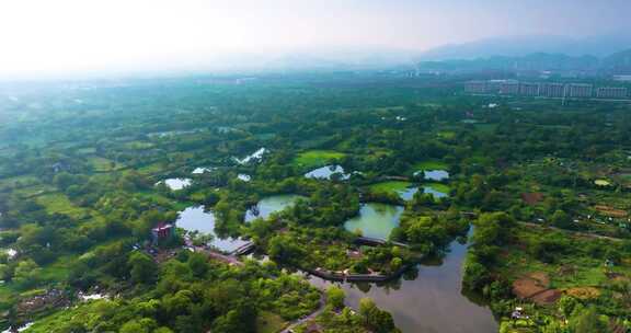 杭州余杭五常湿地夏天风光合集