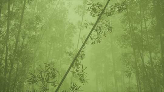 竹林背景
