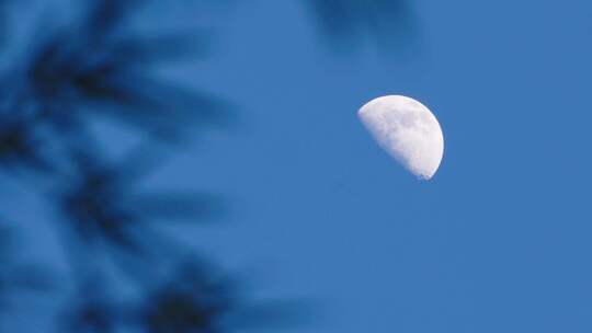 月亮半月空镜头