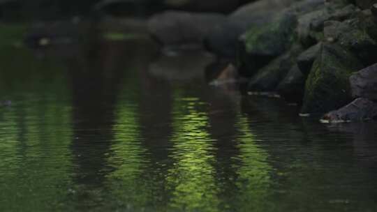 溪水河流乘凉 唯美意境 治愈夏天疗愈白噪音