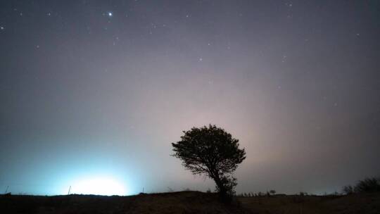 草原上孤独一棵树背景星空银河延时