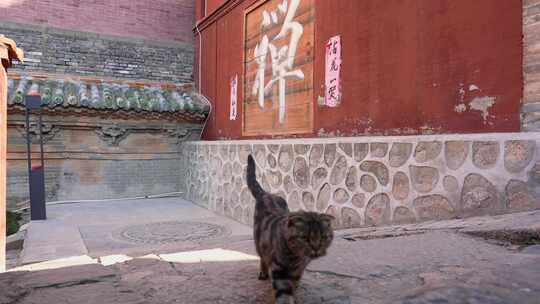 山西国宝文物万固寺无梁殿多宝佛塔