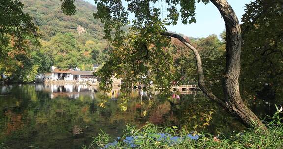 秋天阳光湖水秋叶美丽苏州天平山秋景