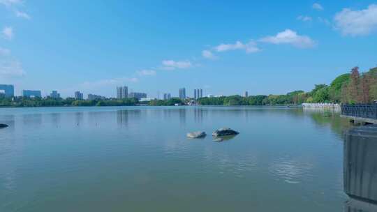 广州海珠湖公湖泊树林与城市高楼建筑景观