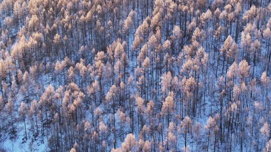 俯拍林海雪原山顶雾凇241107