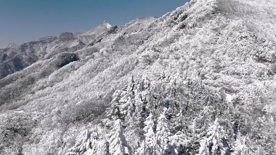 陕西秦岭分水岭雾凇冰挂雪景视频素材模板下载