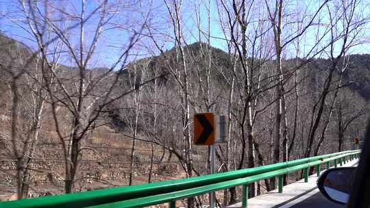 公路旁山野树林景色