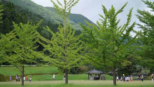 日本夏令营玩气球的孩子们