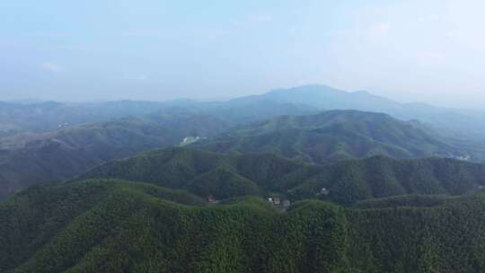 蓝天白云航拍美丽和美乡村大面积竹海、稻田