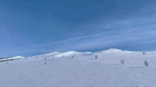 航拍呼伦贝尔大雪原白雪皑皑视频素材模板下载