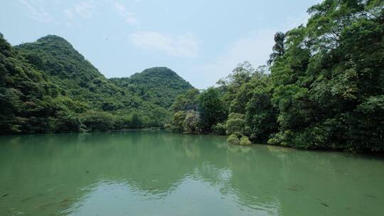 广西柳州山水龙潭公园湖水风景