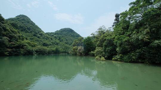 广西柳州山水龙潭公园湖水风景视频素材模板下载