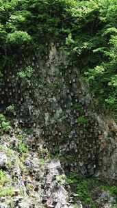 竖版航拍湖北神农架官门山景区悬崖蜂箱