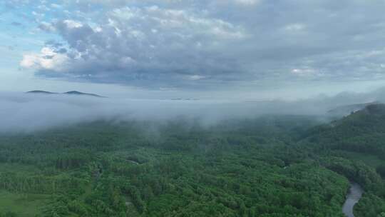 航拍山川绿色林海晨雾