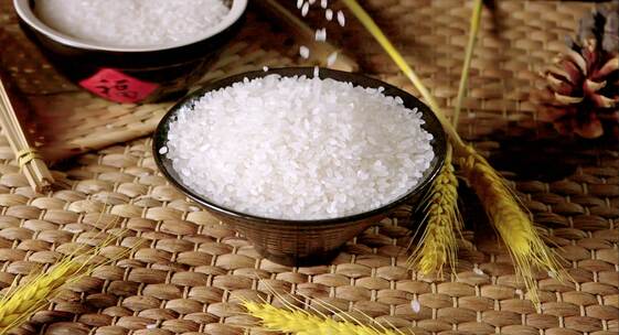 大米水稻 五常大米 农作物农业丰收米粒视频素材模板下载