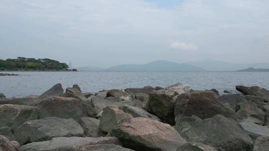 深圳湾海域实拍