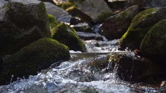 河流溪流溪水泉水河流水流河水水源山水河水视频素材模板下载