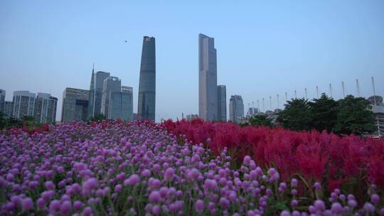 航拍广州城市建筑景观天际线 4k