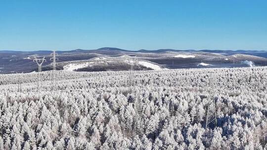 穿越大兴安岭林海雪原雪森林的输电线路1525