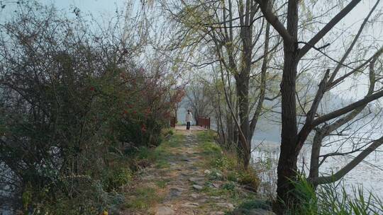 云南湖泊风光清晨湖边堤岸林荫小道游客