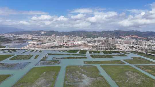 惠州盐洲海洋湿地公园-红树林湿地风光