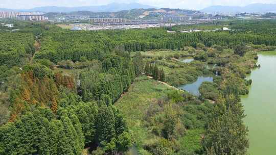 航拍昆明滇池捞鱼河湿地公园