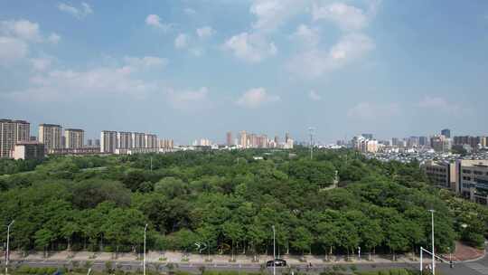 江苏宿迁城市风光绿化植物公园