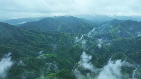 原始森林雨后山峰山脉皖南