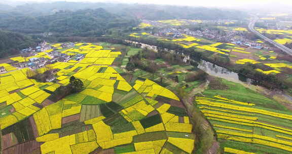 航拍中国基础建设高速公路穿越春天花海田野