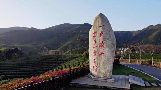 安吉白茶观景平台石碑