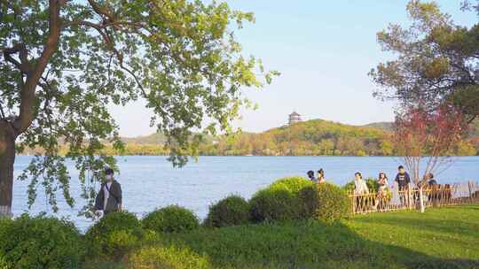 杭州西湖春天风景