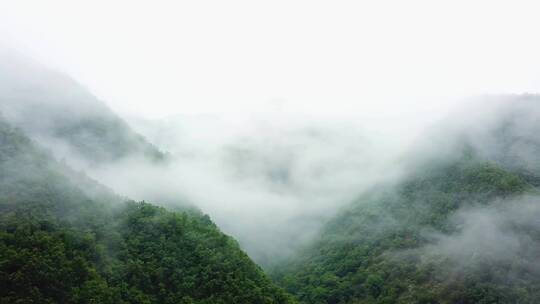 秦岭 云海  大自然 航拍 生态