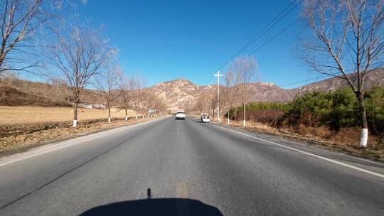 行车视角道路两侧绿化风景开车第一视角开车