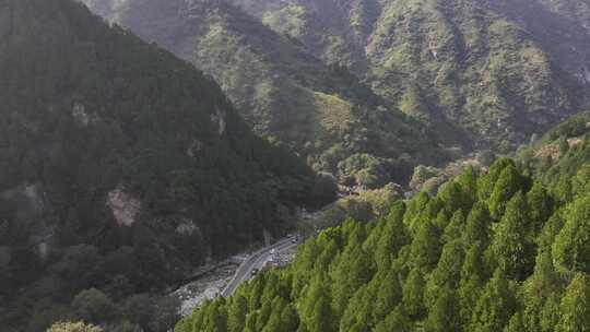 河南灵宝竹林寺