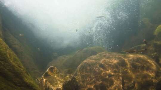 河边小溪河底海底水下世界流水岩石光影升格