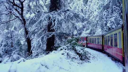 火车行驶在冰天雪地的森林