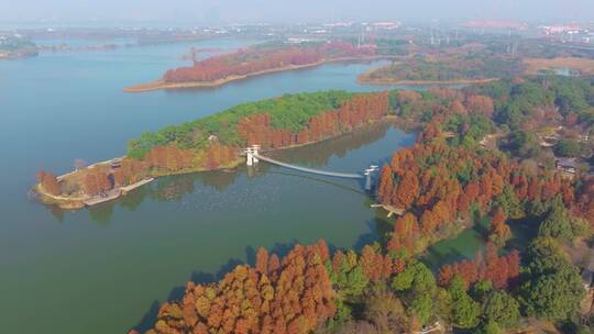 湖北武汉东湖风景区秋季风光