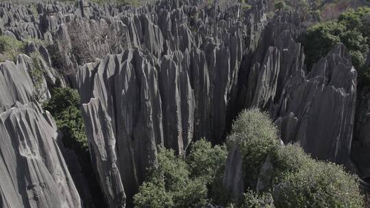 云南昆明石林喀斯特溶岩地貌高原风光航拍视频素材模板下载