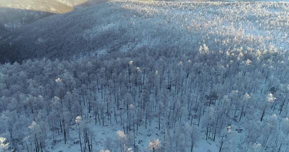 冰雪森林、高山雾凇