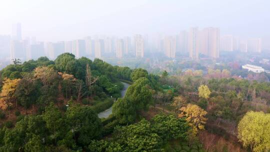 冬天无锡金匱湿地公园航拍