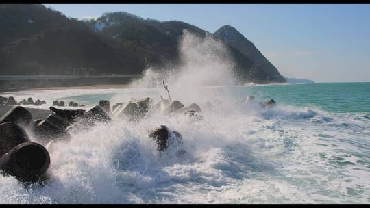 海浪拍岸海焦树木